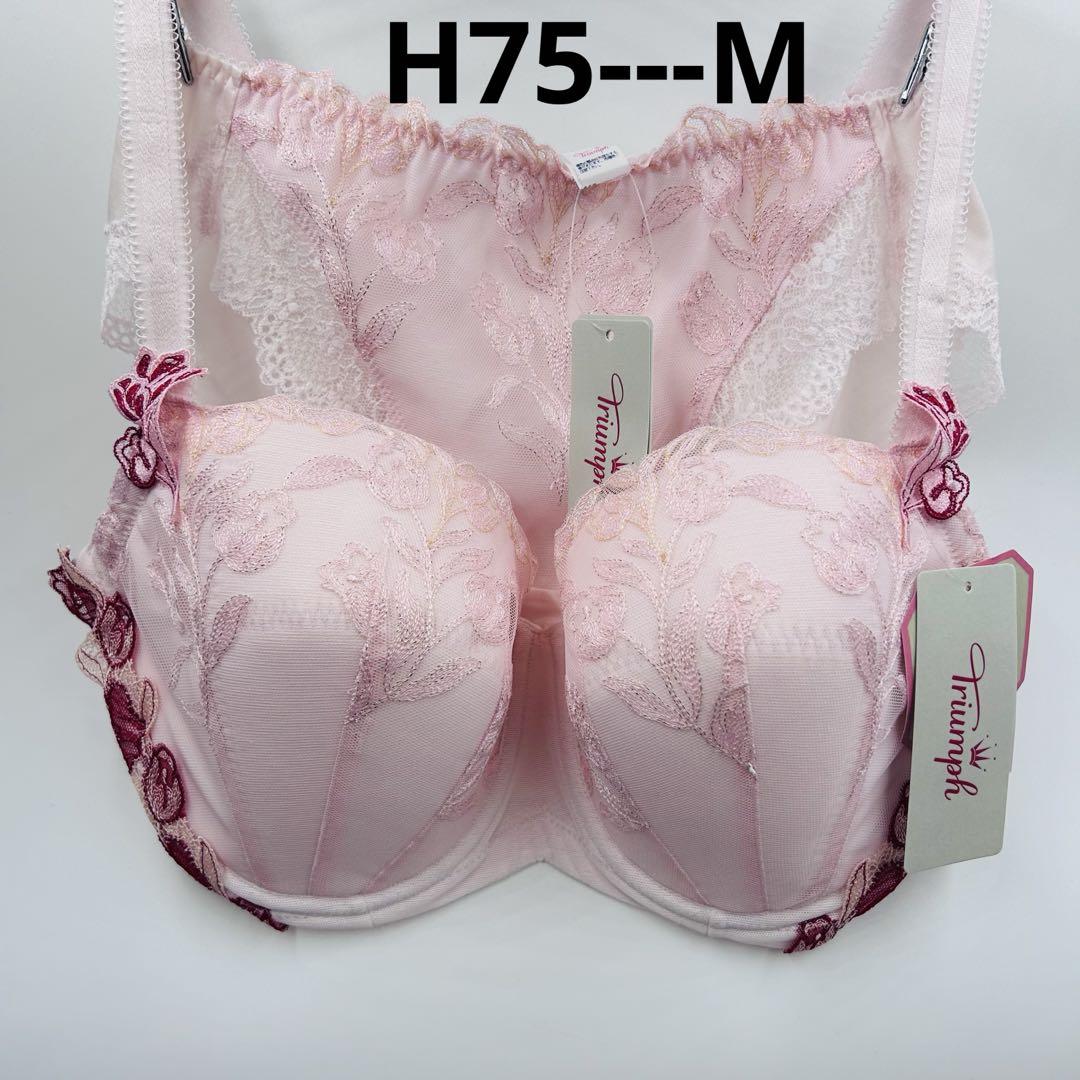 トリンプ H75セット 2セット