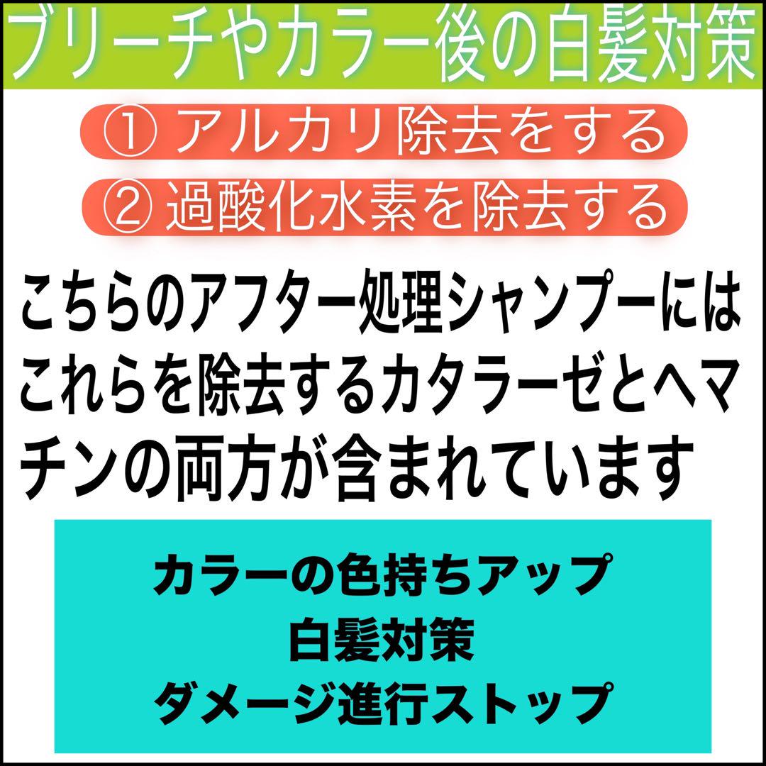 【FIBREPLEXブリーチ⑤、後処理シャンプー20ml 】（ロング用）×２