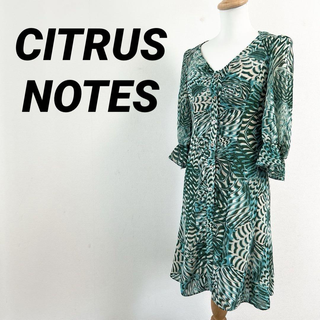 CITRUS NOTES　シトラスノーツ　ロングワンピース　ヒョウ柄　昭和レトロ