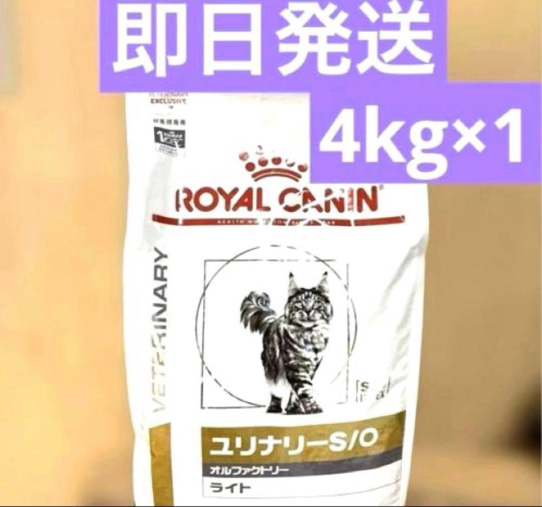ロイヤルカナン ユリナリーS O 猫用 オルファクトリー ライト4kg×1ROYAL CANIN
