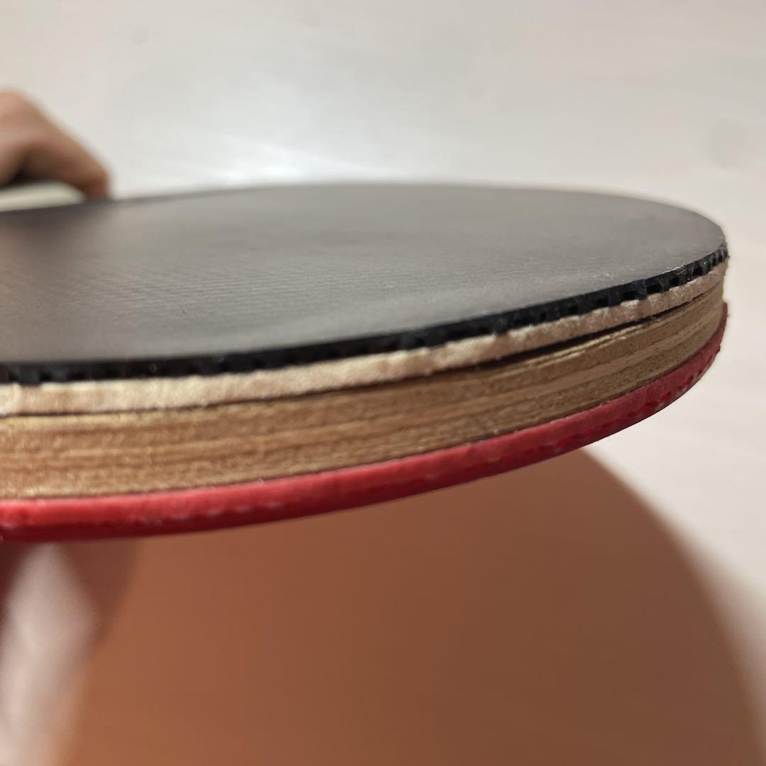 丹羽孝希wood（ラグザx ディグニクス09c）