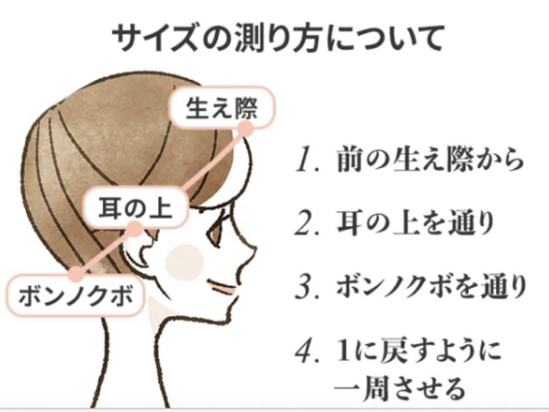 【美品】アンベリール　ウィッグセット　女性　EM71