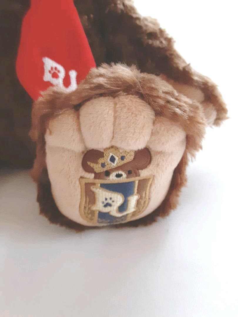 アンゴラうさぎ ぬいぐるみ シロとモカ 2種セット 優先配送 アンゴラうさぎ ぬいぐるみ シロとモカ 2種セット 優先配送