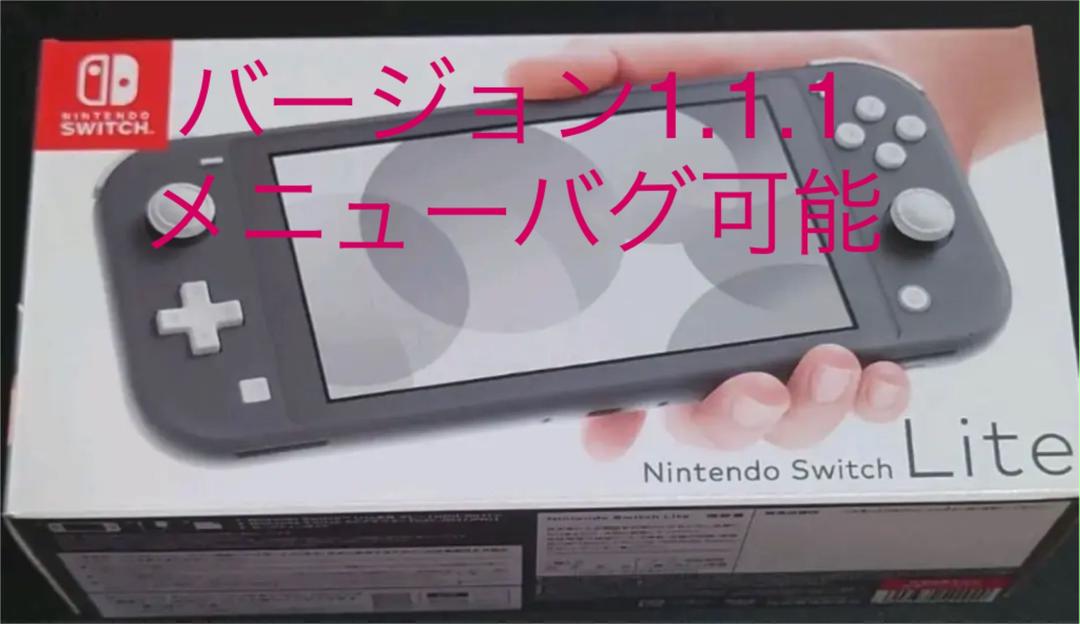 グレイ系出産祝い ニンテンドースイッチライト本体【グレー オンラインストア特注 任天堂 スイッチライト 本体 その他