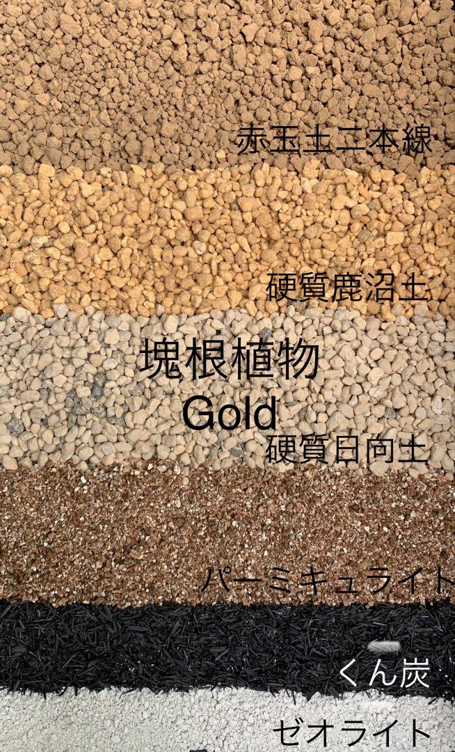 塊根植物の土Gold10㍑培養土　パキポディウム・アデニウム等　グラキリス