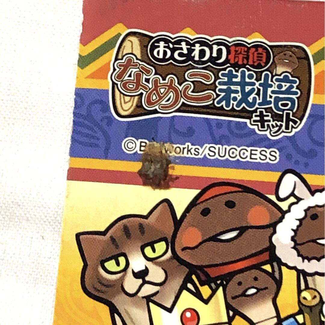 なめこ栽培キット ストラップ キーホルダー 駄菓子屋 連続当