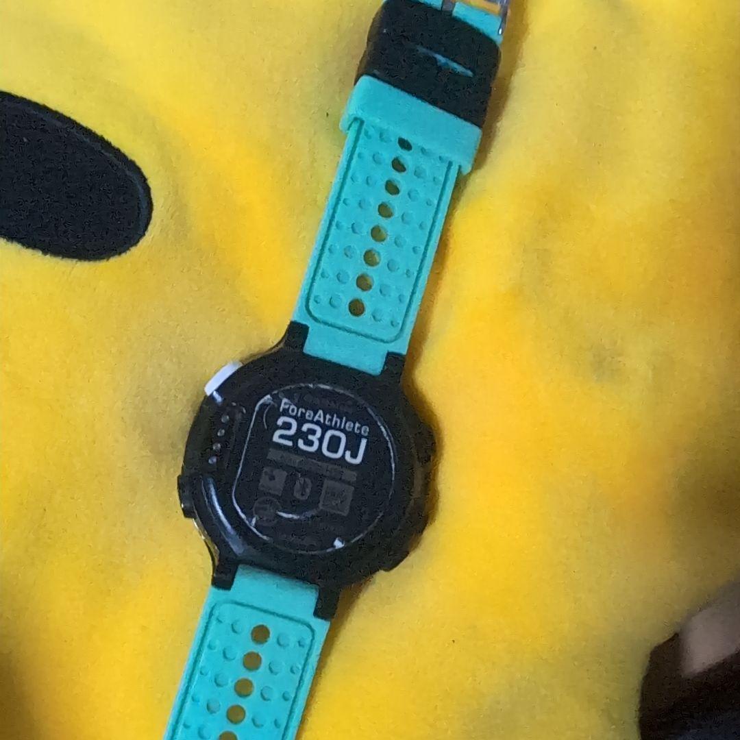 その他 Garmin230j