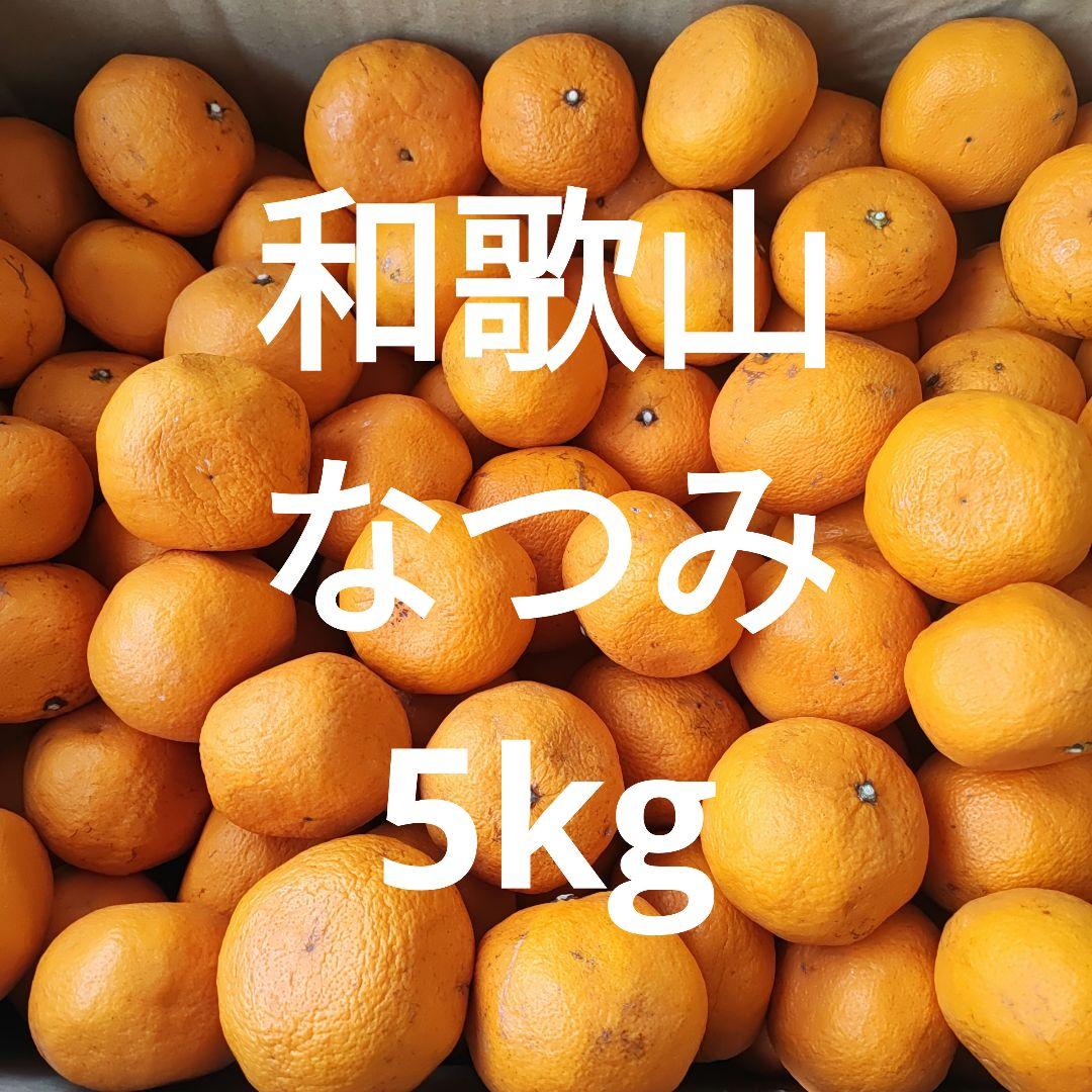 和歌山　なつみ　訳あり　15kg