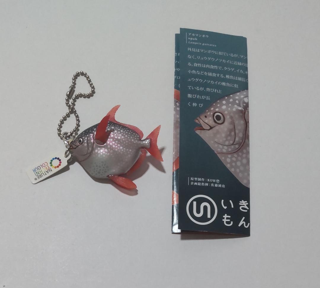 経典 いきもん ネイチャーテクニカラー 深海生物2 アカマンボウ その他 Kl Lka No