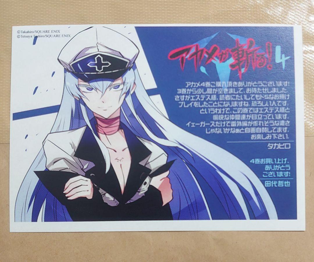 アカメが斬る 特典 イラストペーパー エスデス