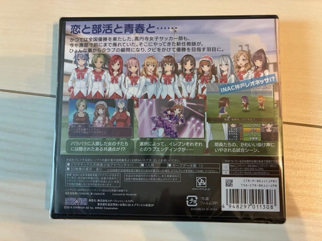 いつかはヘブン〜シュリンク付Nintendo 3DS