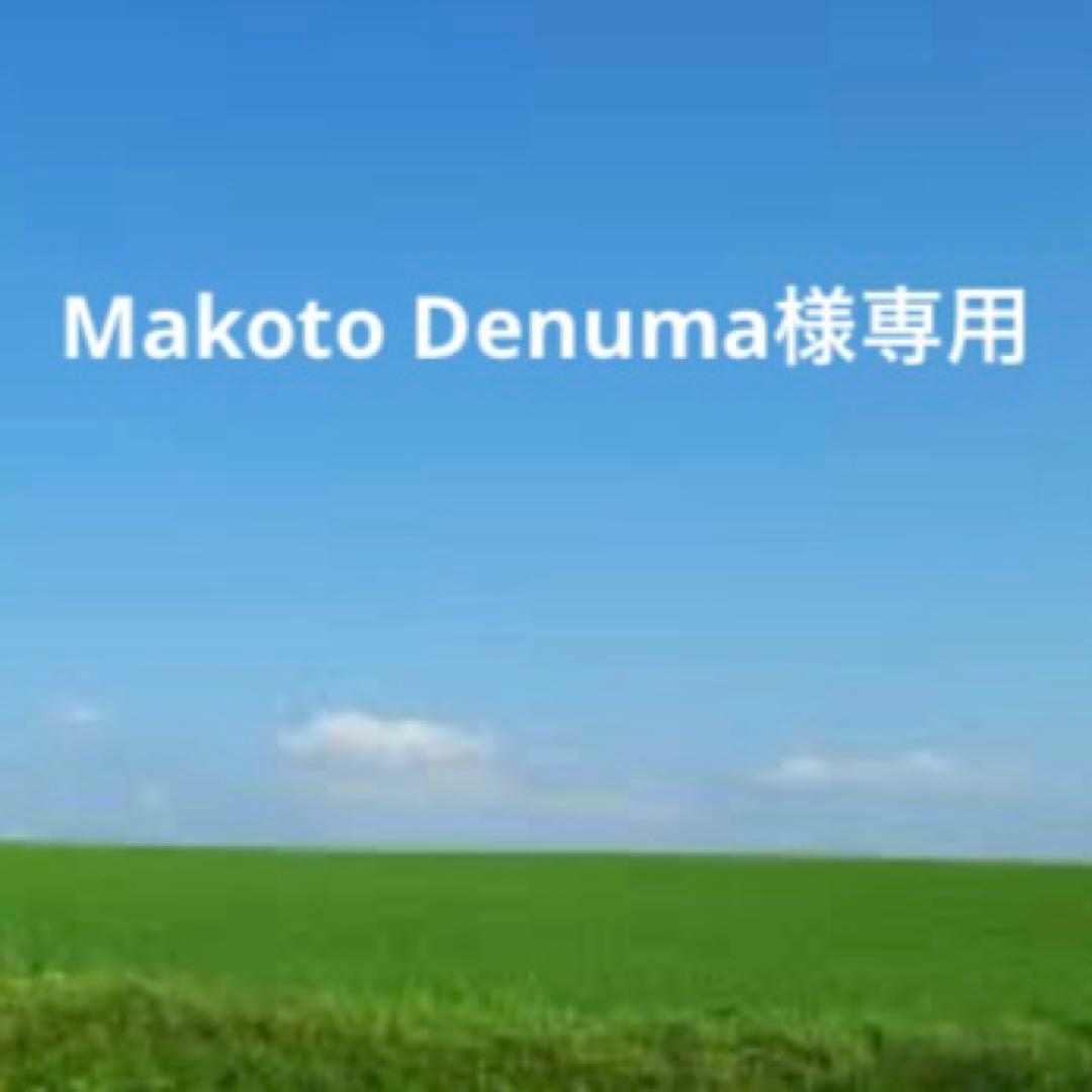 未使用　LOUIS VUITTON フラグメントケース　モノグラム　箱袋付き