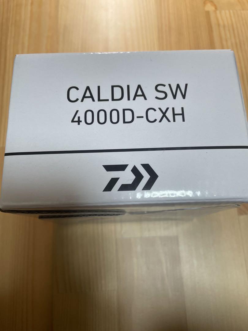ダイワ　22カルディアSW 4000D-CXH