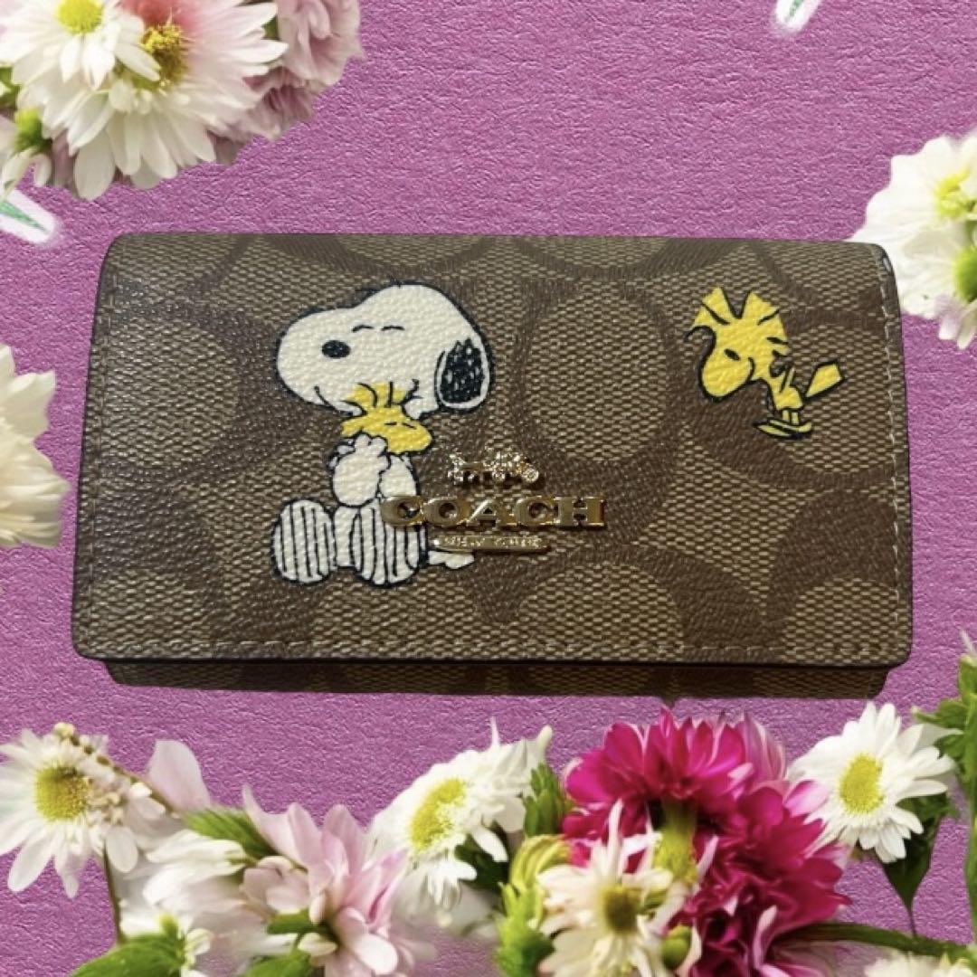 新品 COACH コーチ スヌーピー キーケース ブラウン