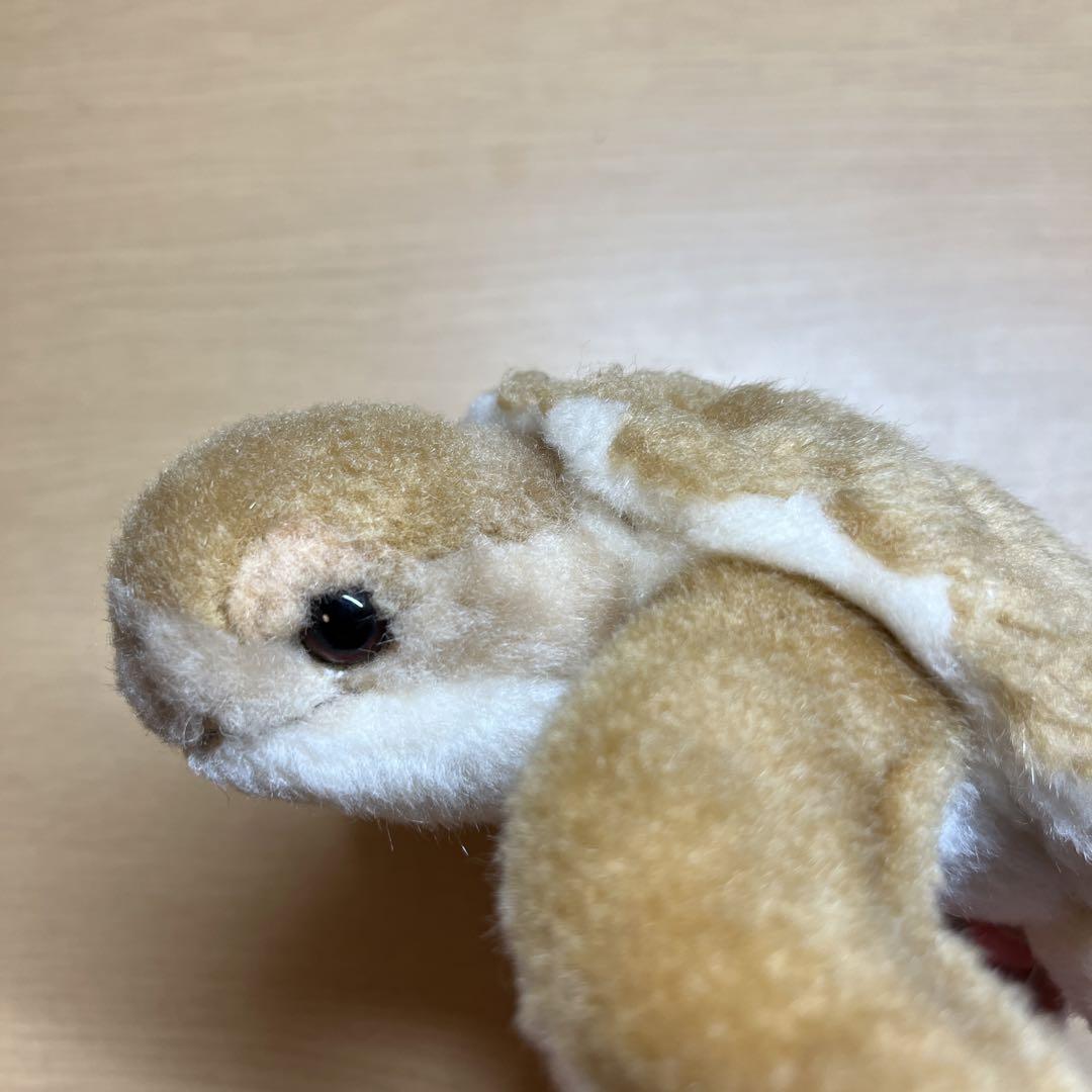 可愛らしいカメのぬいぐるみが入荷です!!!