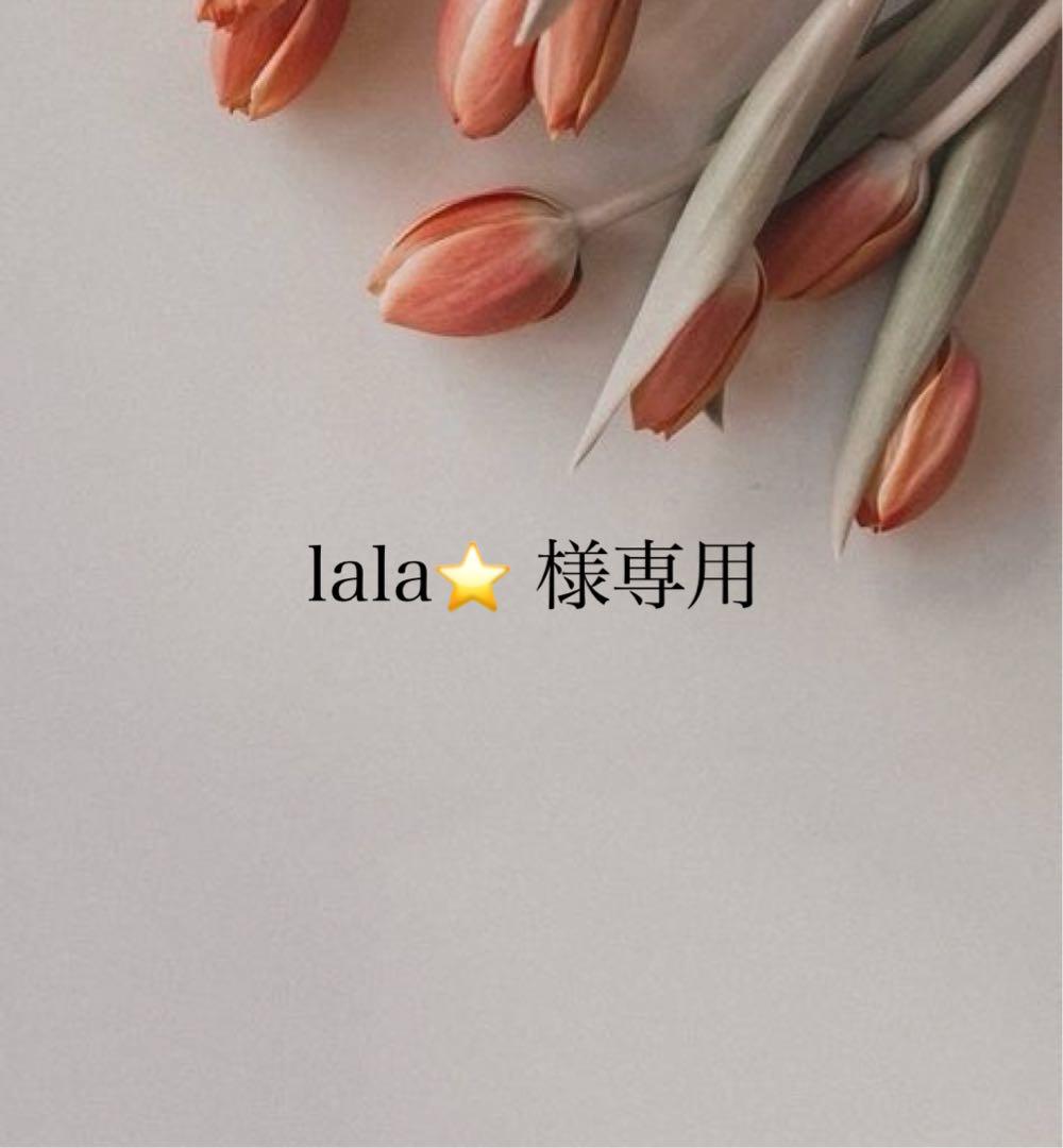 lala⭐️様専用クレンジング・メイク落とし