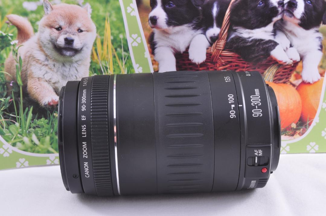 迫力の90-300mm