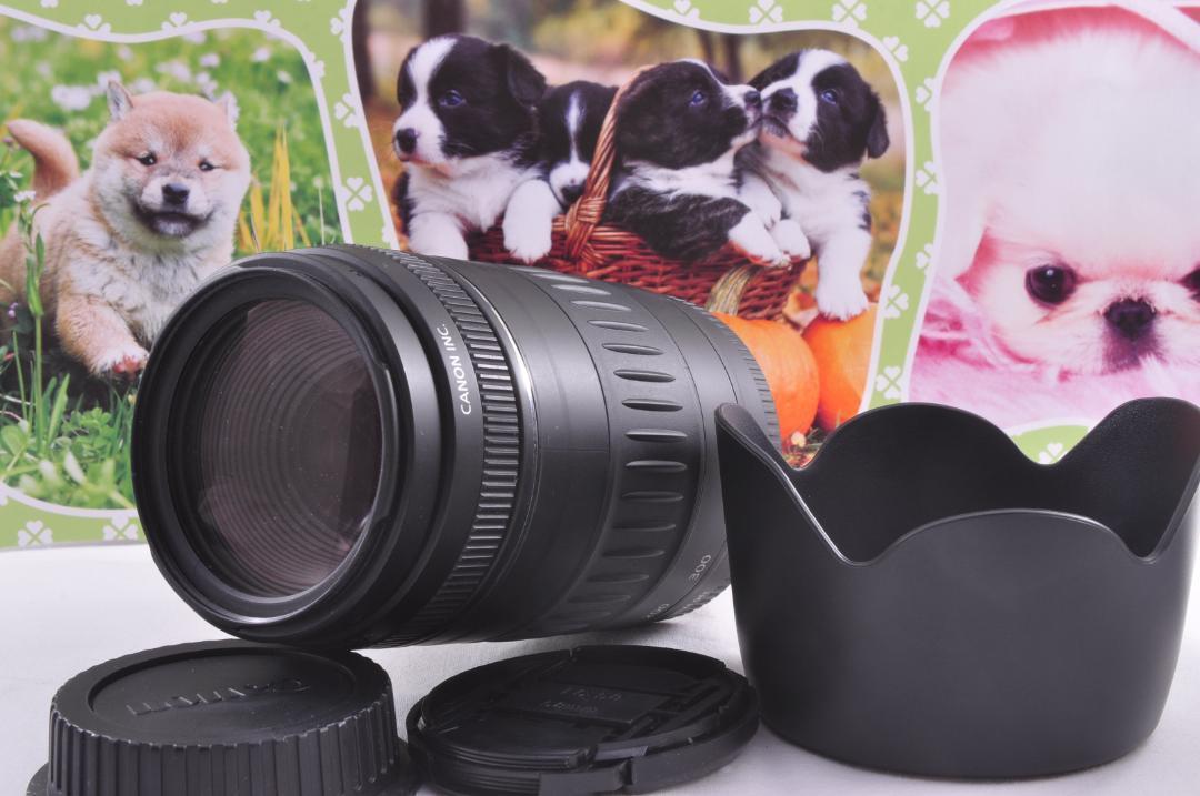 迫力の90-300mm 撮る楽しさ倍増#3