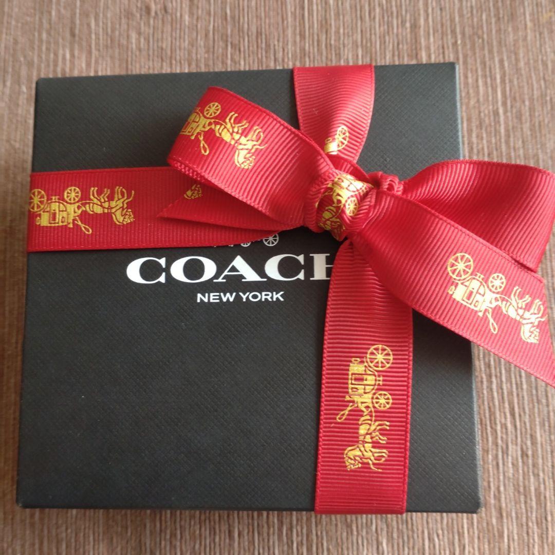 COACH パヴェ レキシー ハギー ピアス