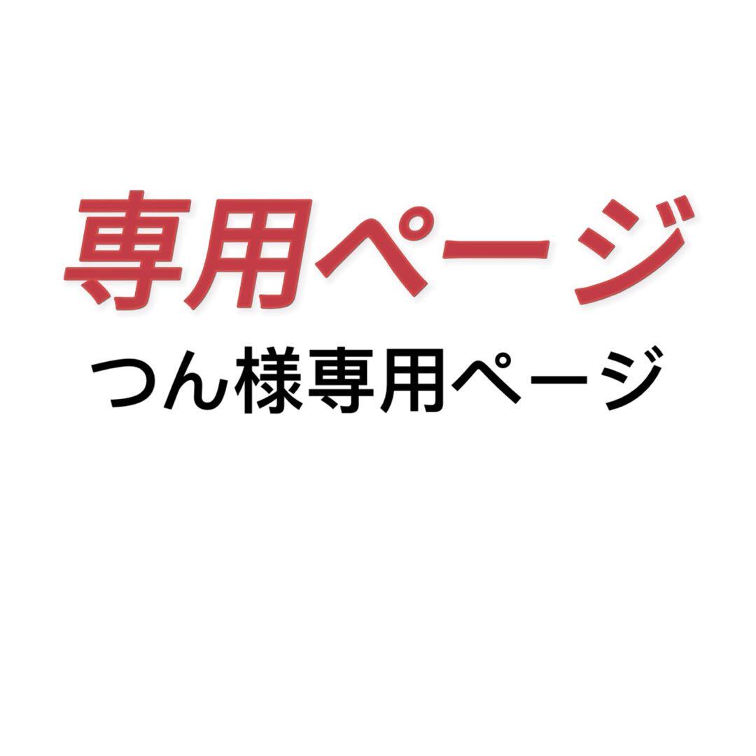 つん様専用ページ