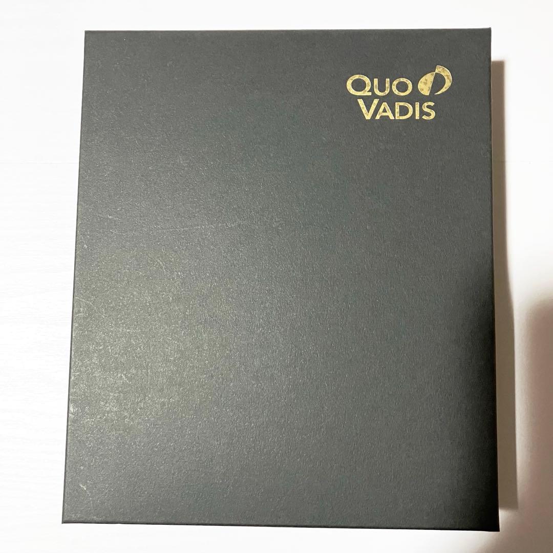 グレイッシュグリーンQuo