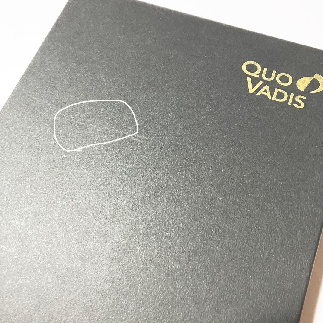 グレイッシュグリーンQuo VADIS