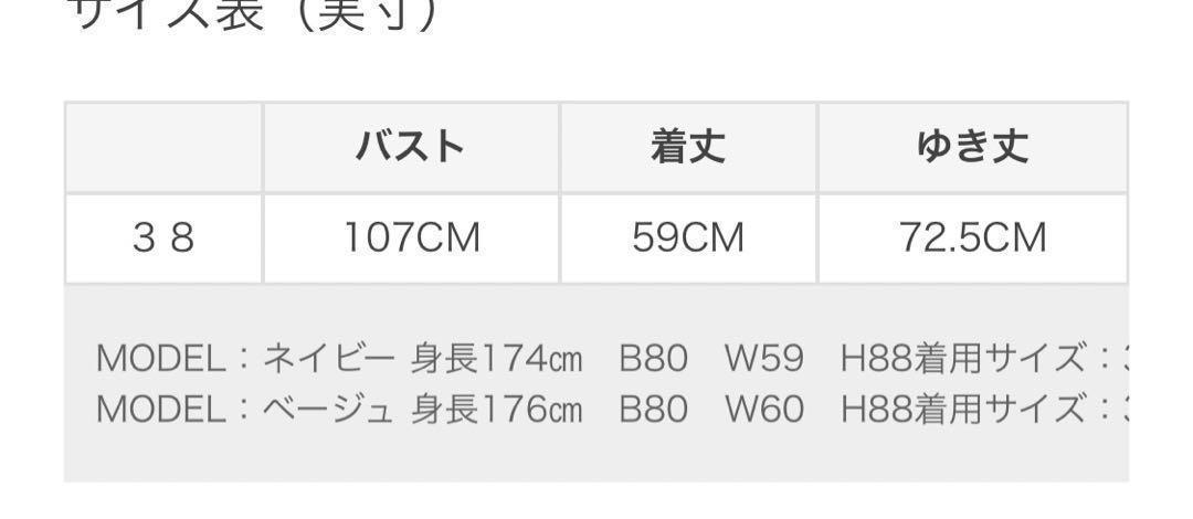 定価2.9万円　アドーア　ライトグラグランブラウス