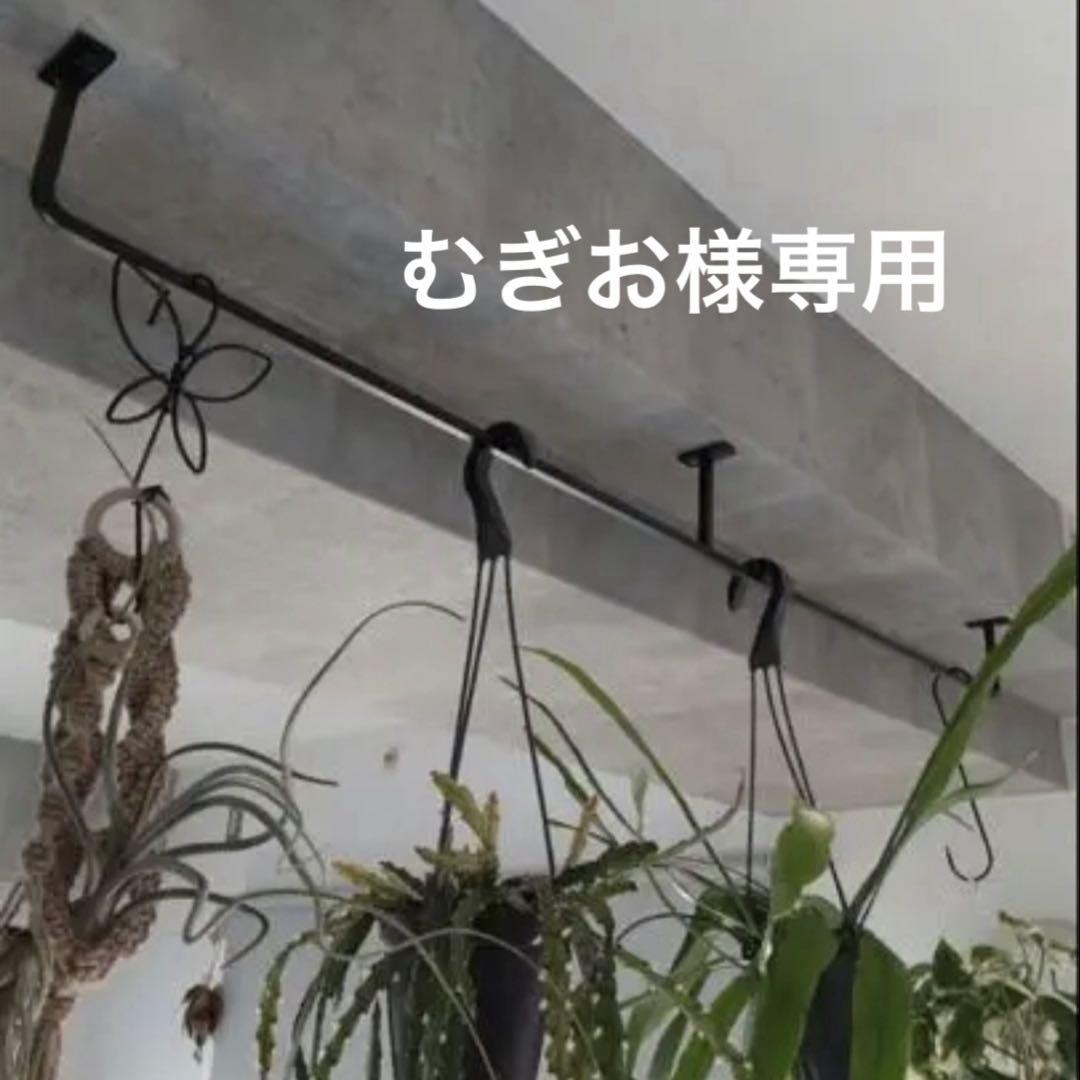 むぎお