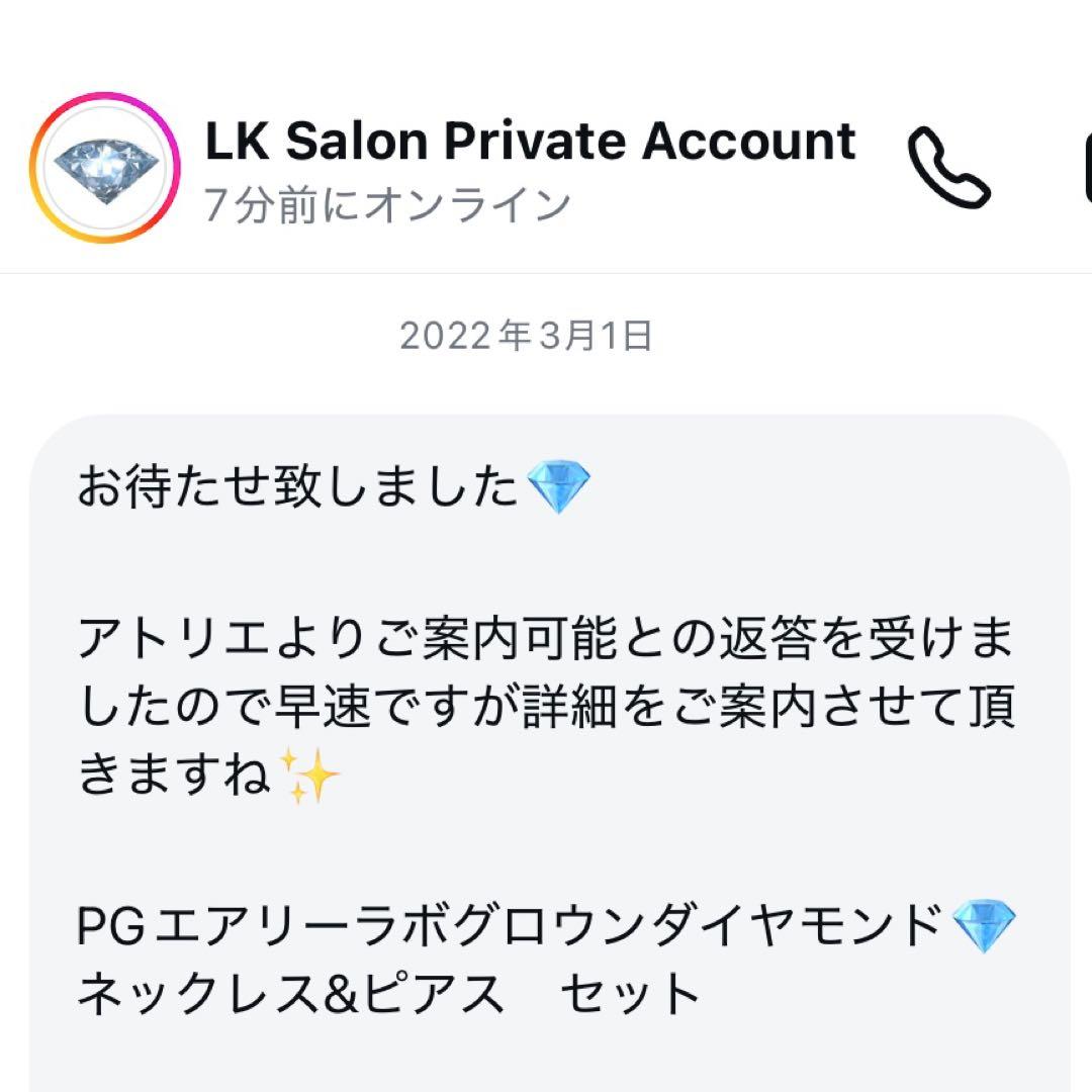 【馬蹄ピアス・スターピアス付】数回使用 LK Salon ネックレス