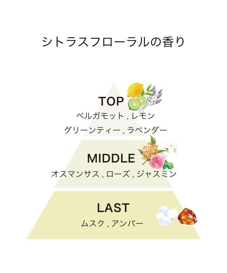 【新品⭐︎正規品】NEW トラックオイル No.3 プッシュタイプ 2本セット