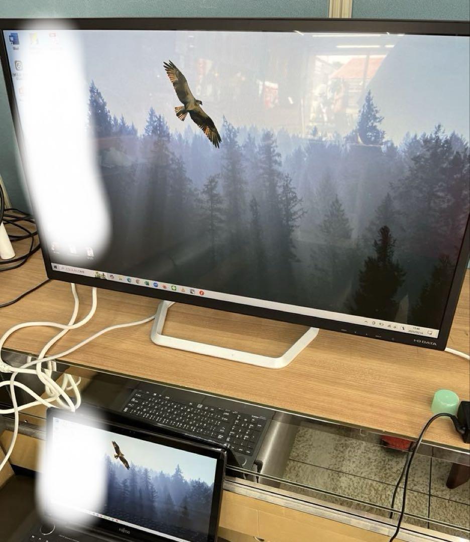IODATA 液晶ディスプレイ　EX-LD3151DB 31.5インチワイド