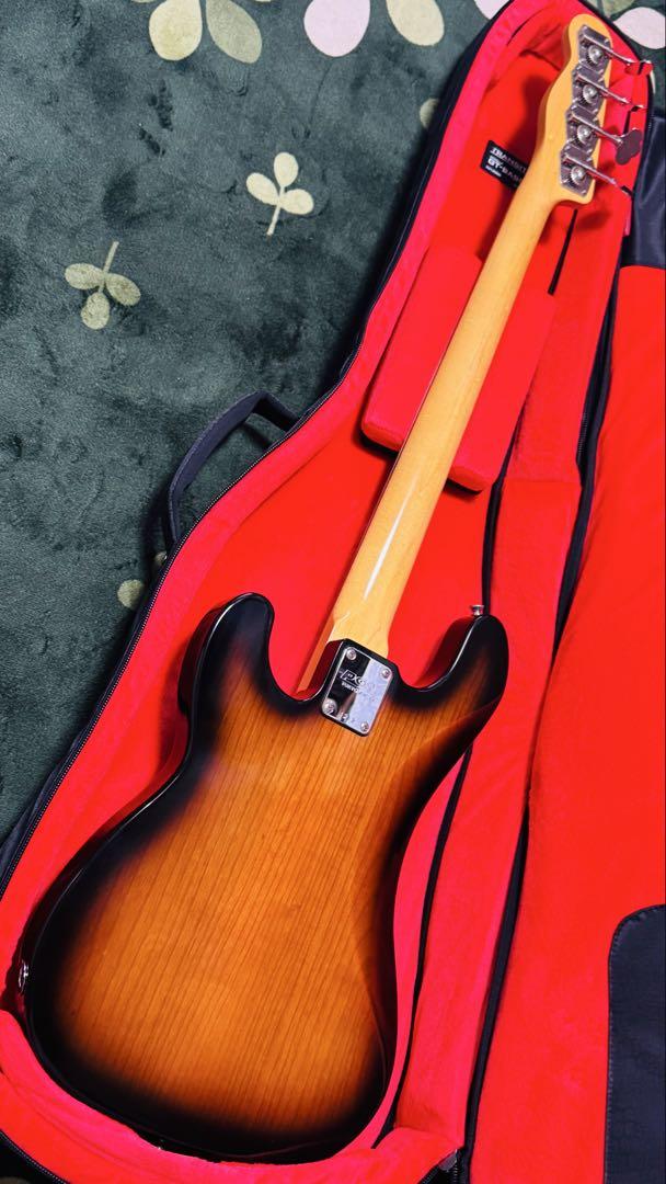 ベース K.Nyui Custom Guitars KNPB-T.S Moon PGM