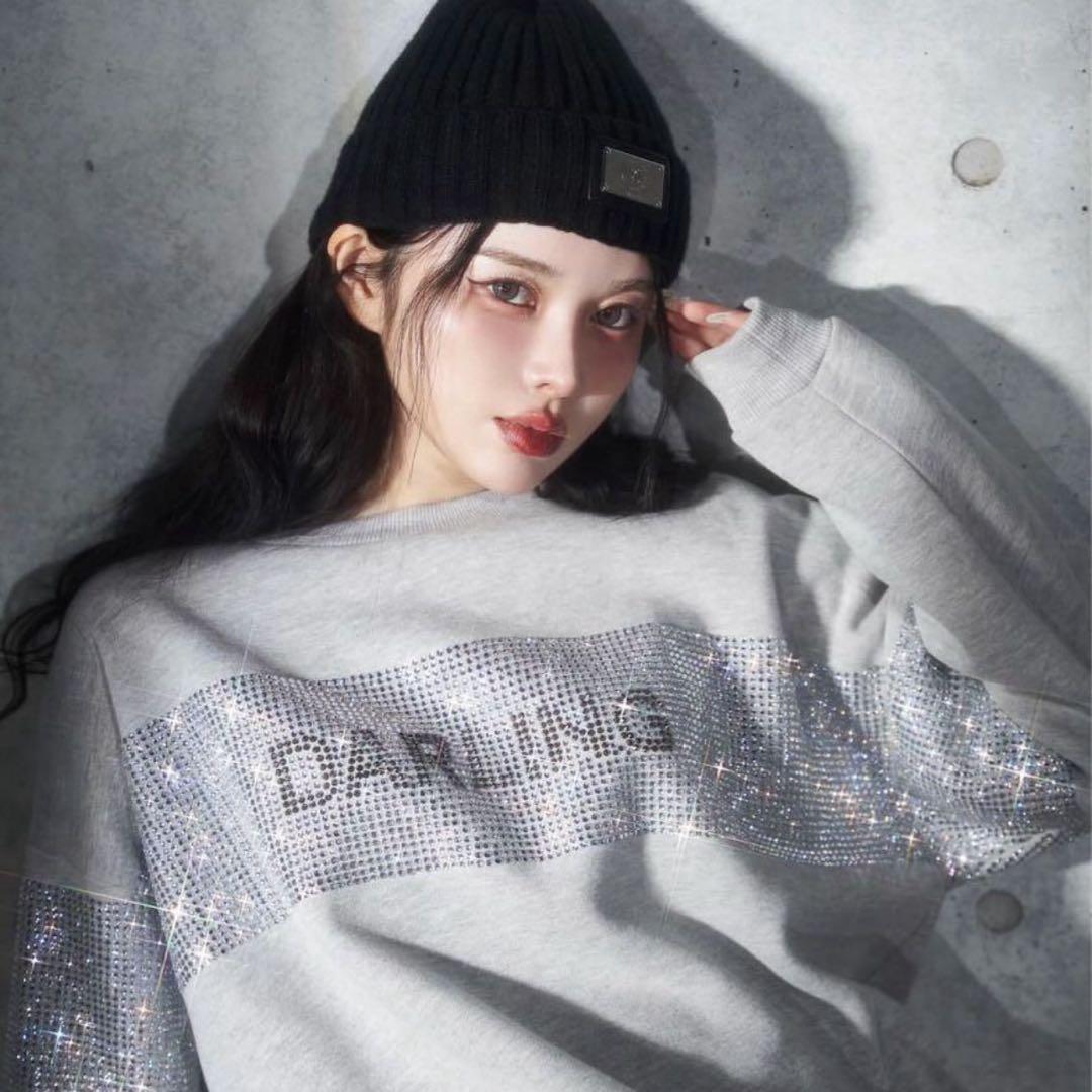 【美品】Darich ダーリッチ クリスタルロゴプルオーバー