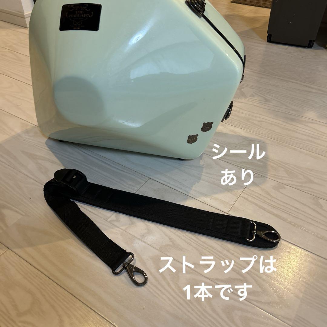 正規逆輸入品】 THE MARCATO ミントグリーン（ケース一覧