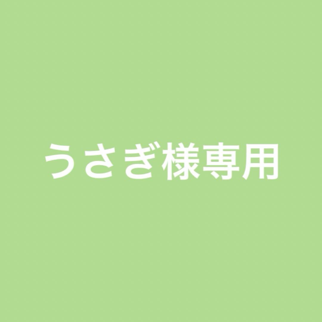 うさぎ様 リクエスト 6点 まとめ商品