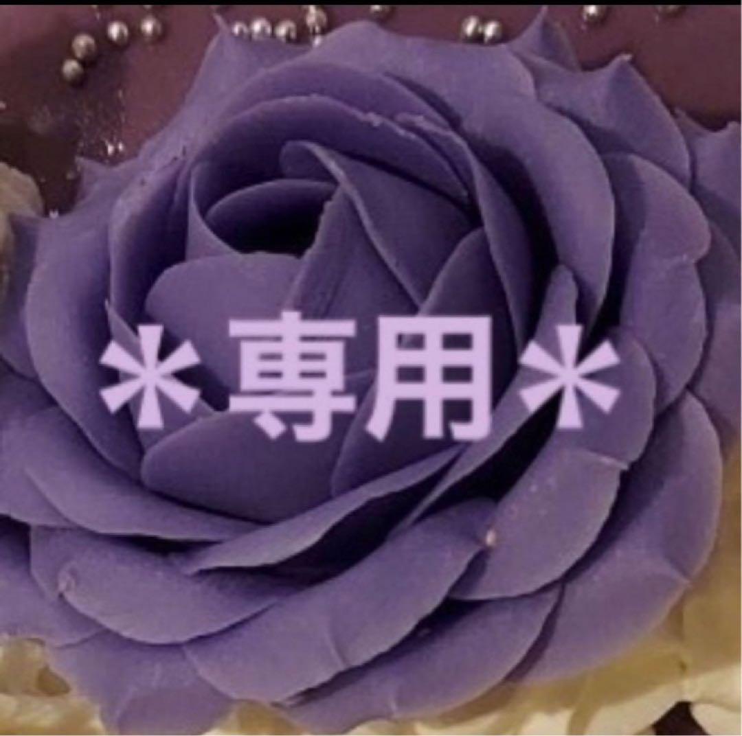 専用