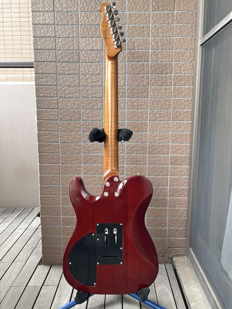 【動作◯】 Harley Benton Pro Series テレキャス