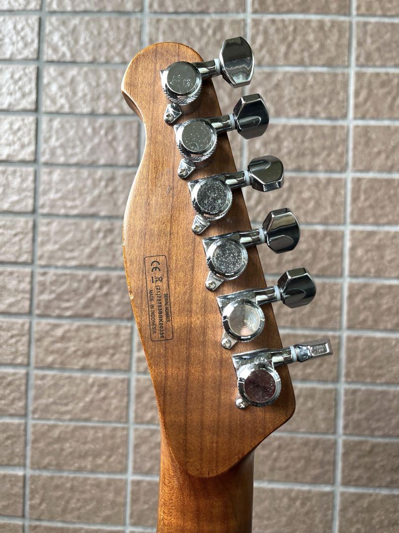 【動作◯】 Harley Benton Pro Series テレキャス