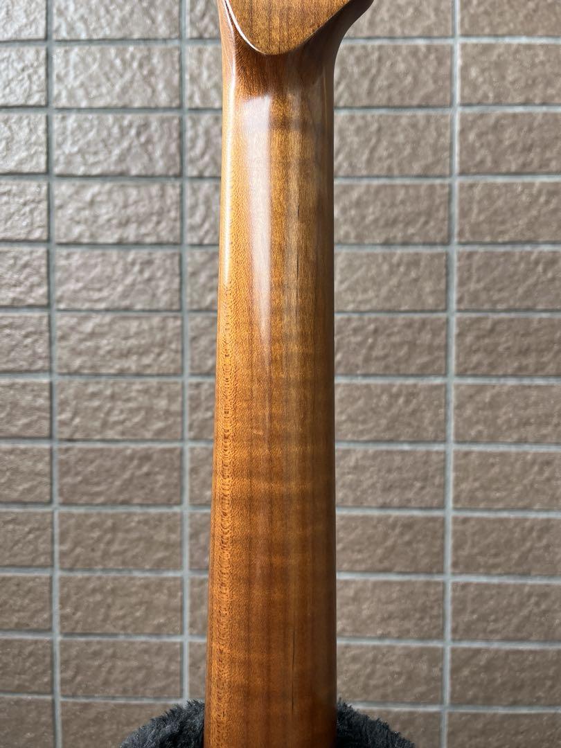 【動作◯】 Harley Benton Pro Series テレキャス