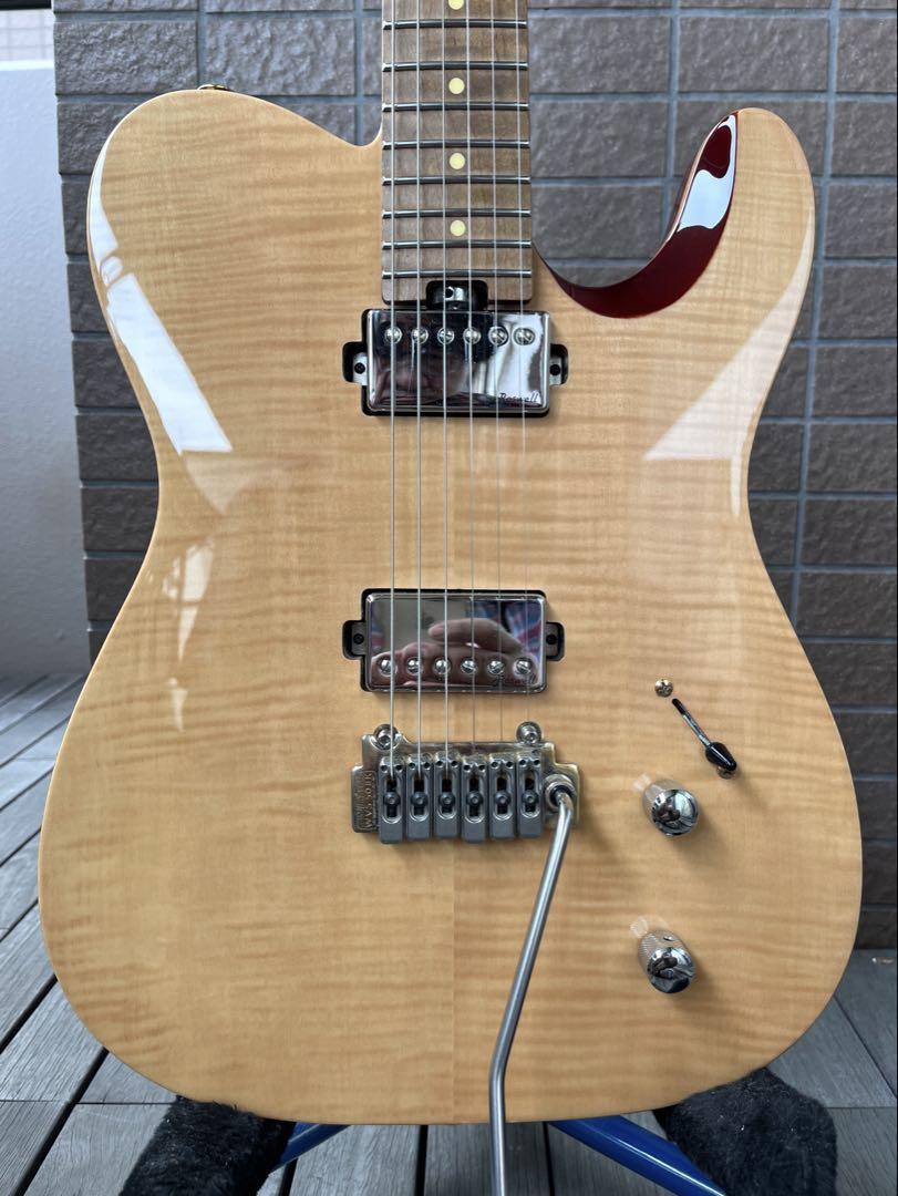 【動作◯】 Harley Benton Pro Series テレキャス
