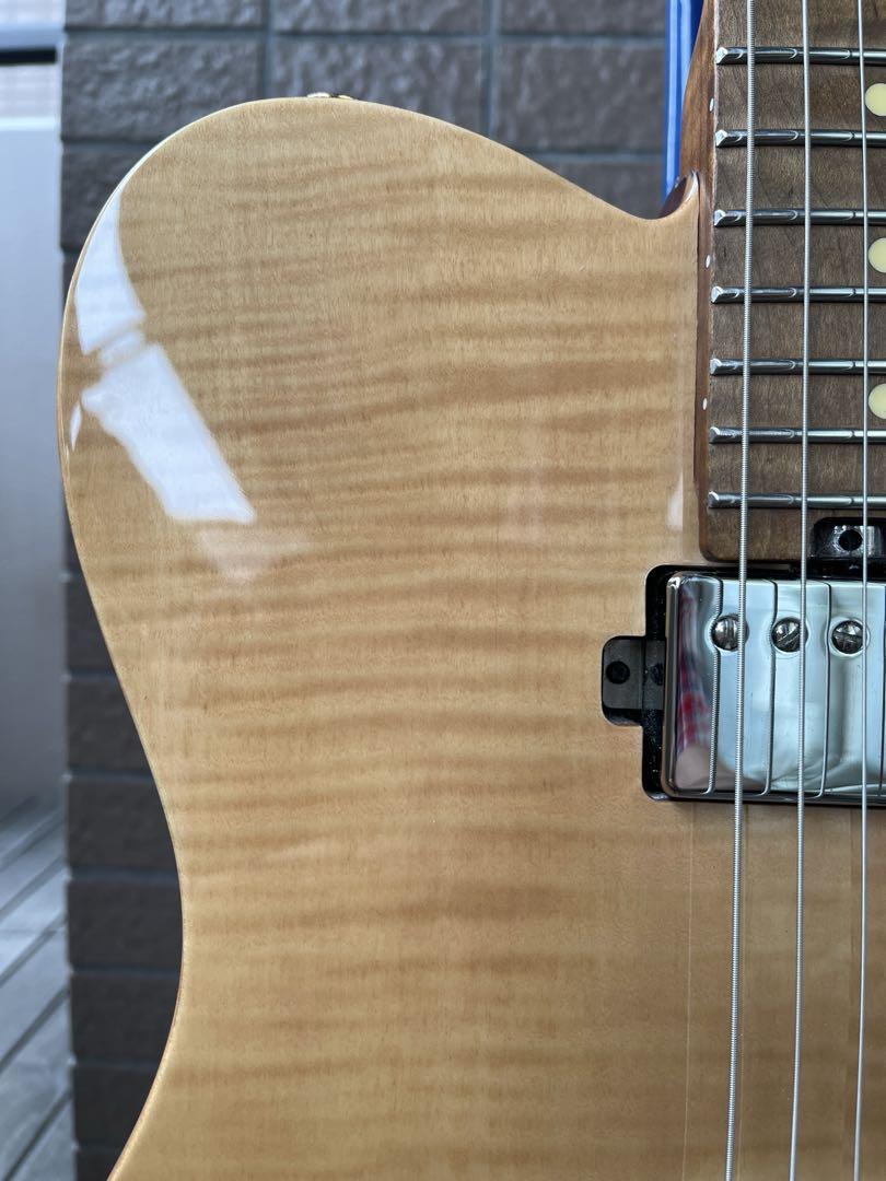 【動作◯】 Harley Benton Pro Series テレキャス