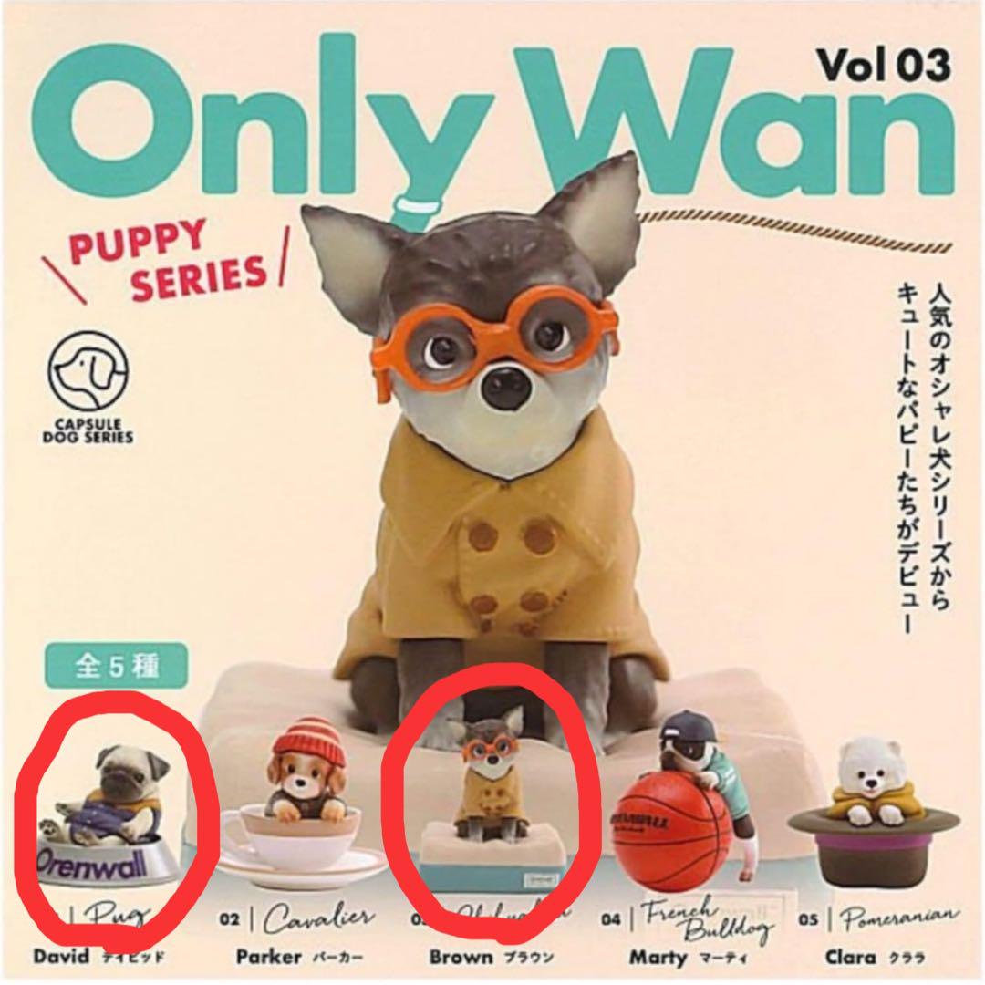 キャンハゲガチャ CDコンポキャンハゲガチャ