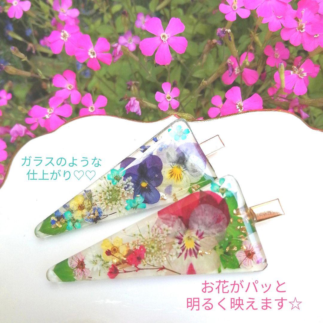 専用レジン液シエル10本、コーティング剤つき❤ - メルカリ