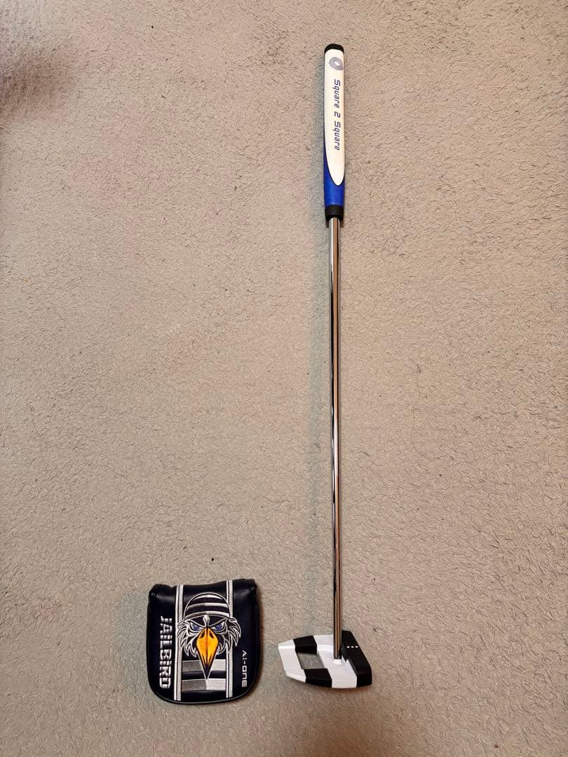 AI-ONE Square 2 Square Jailbird 34インチ