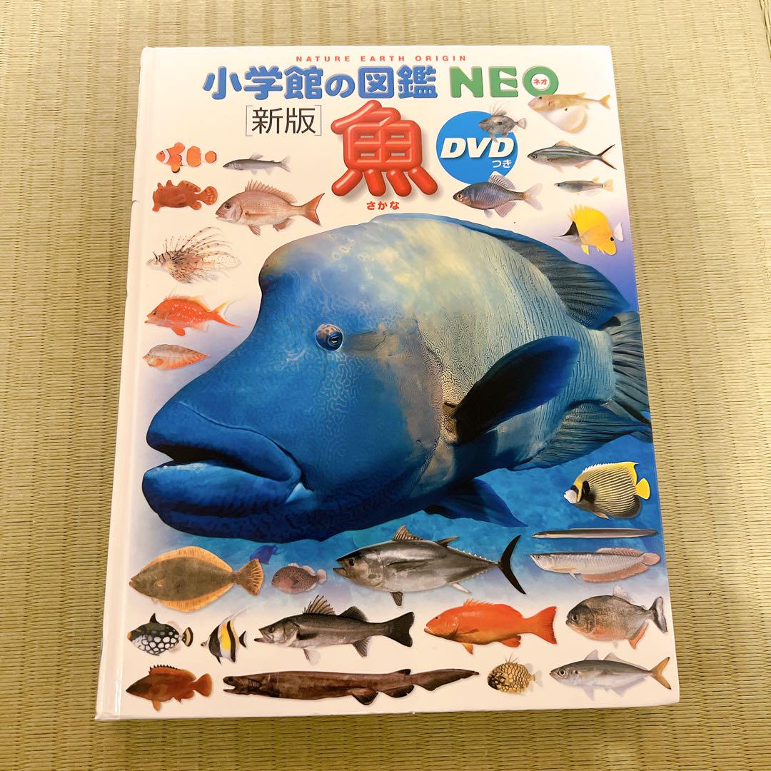 DVD付 新版 動物 (小学館の図鑑 NEO) | 三浦 慎悟, 成島 悦雄