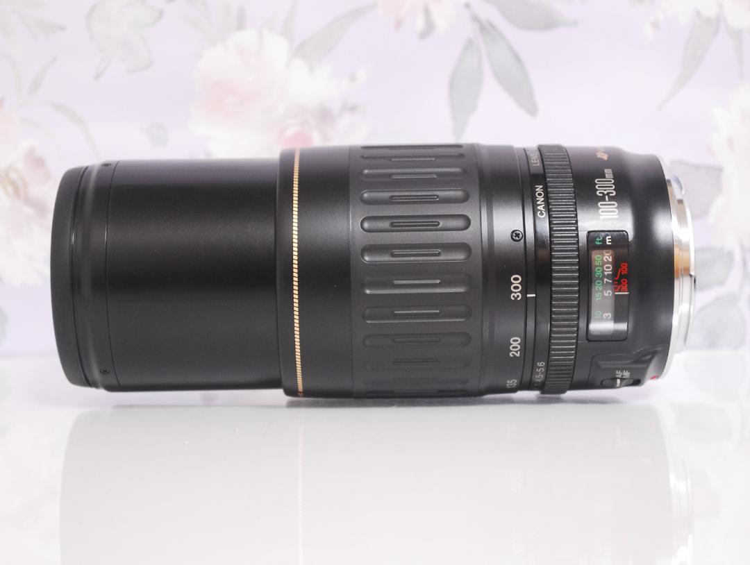 イベントなどで大活躍の超望遠☆キャノン EF 100-300mm♡