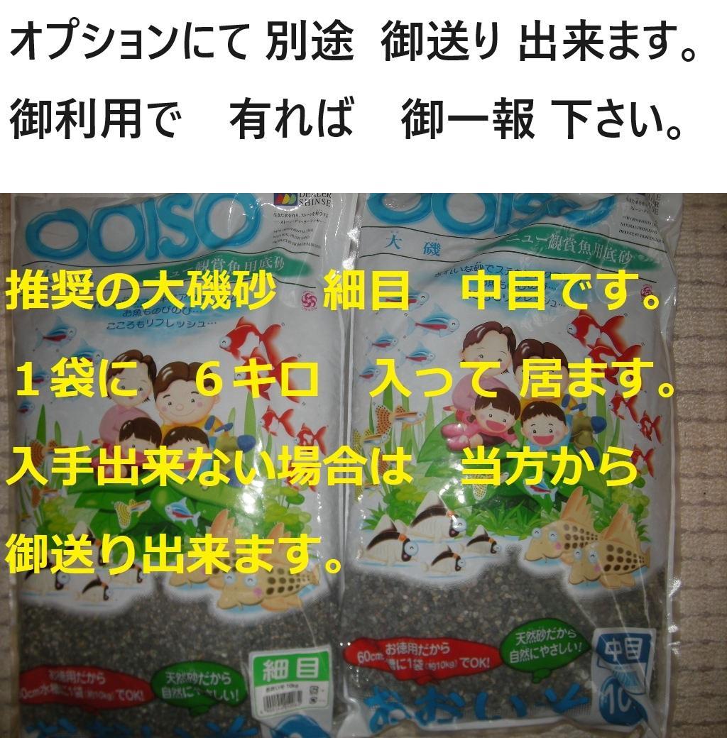 池 大型水槽の濾過装置 サンドフィルターミニ 1トン用 濾過ウール ポンプ付き 画像15
