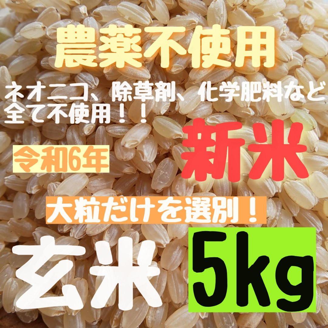 安全性◎【綺麗な大粒揃い】農薬不使用 化学肥料不使用 ヒノヒカリ 玄米 5kg