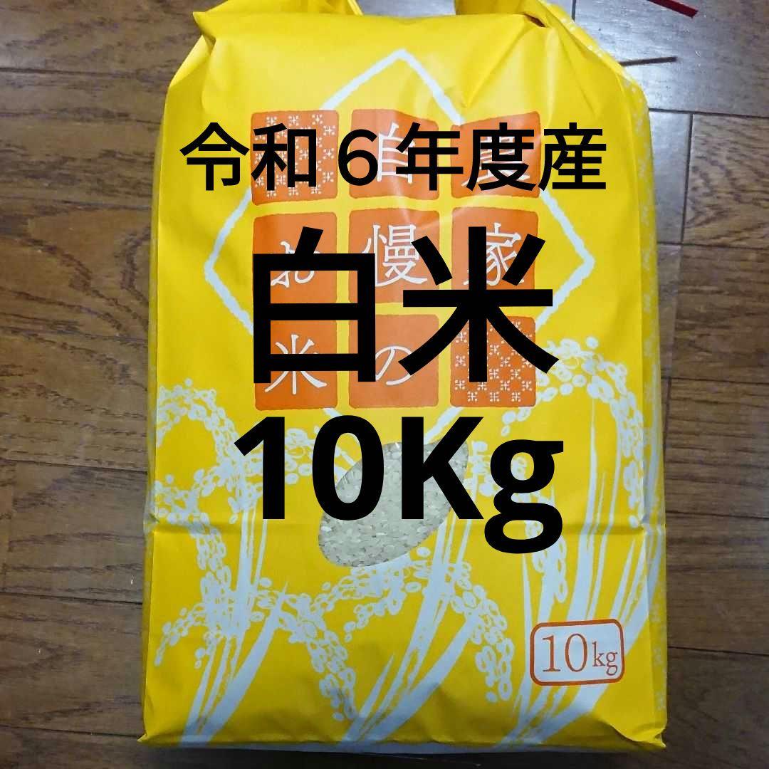 令和６年度産　きぬむすめ　10Kg 白米