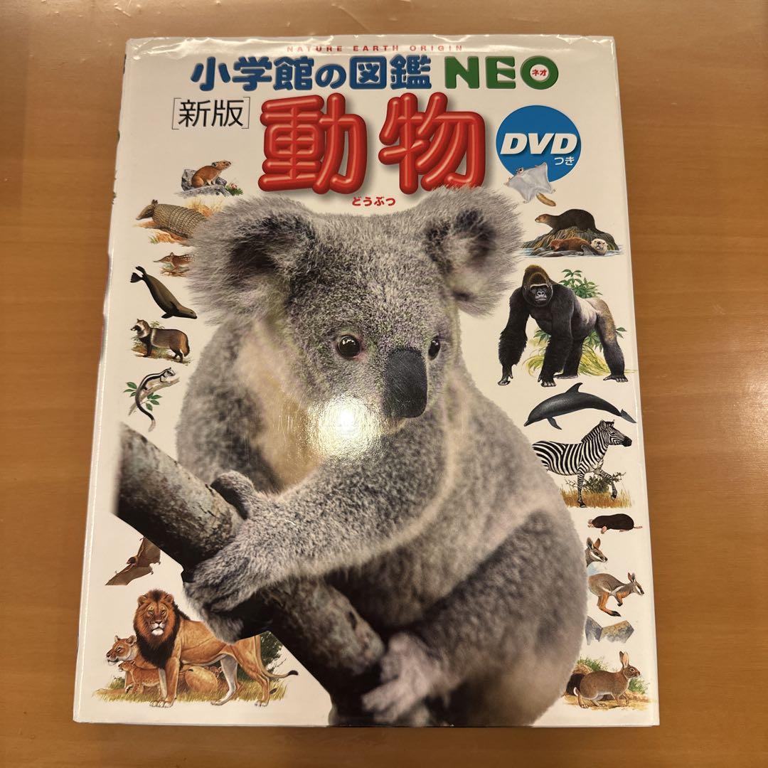小学館の図鑑NEO 5冊・プレNEO1冊　計6冊セット 図鑑NEO 基本 5冊セット |本 | 通販 | Amazon